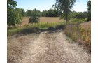 Property photo 45 - 80 Acres Offered in 4 Tracts - Horse Farm
